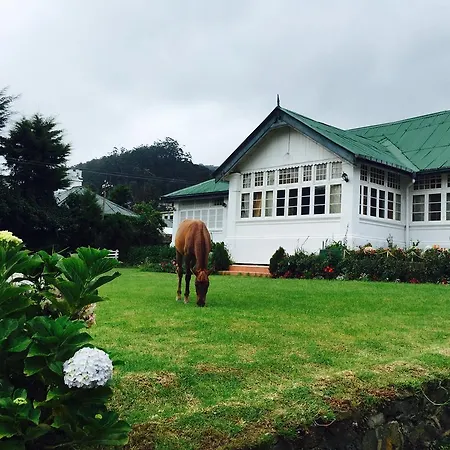 Guest house City