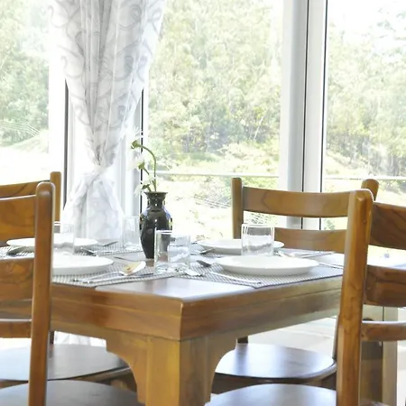 Forest View Lodge