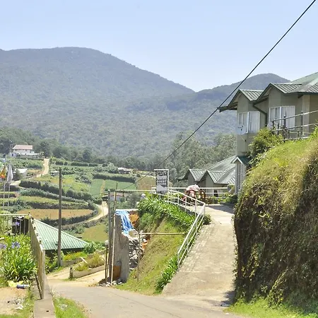 Lodge Forest View