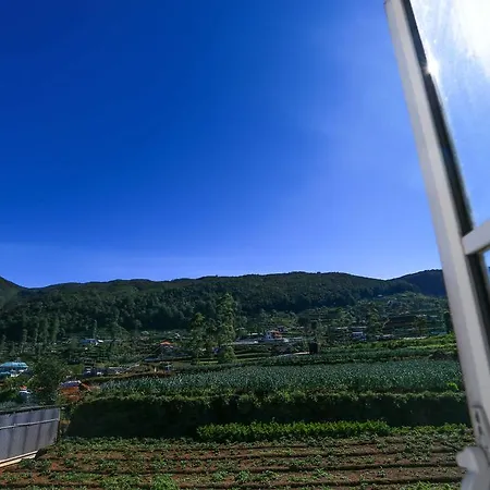 Villa Nioka Luxury Holiday Bungalow *