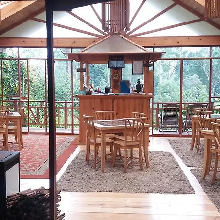 King Fern Guest house