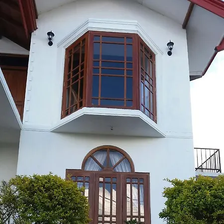 Guest house Black Wood *