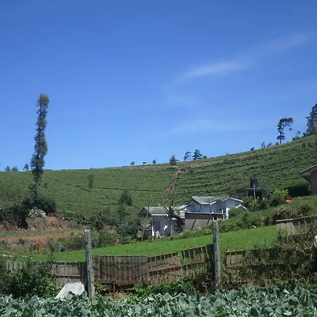 Guest house Hillside Nuwara Eliya