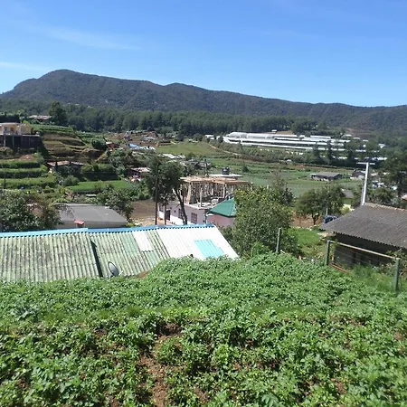 Hillside