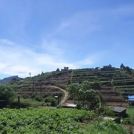 Hillside