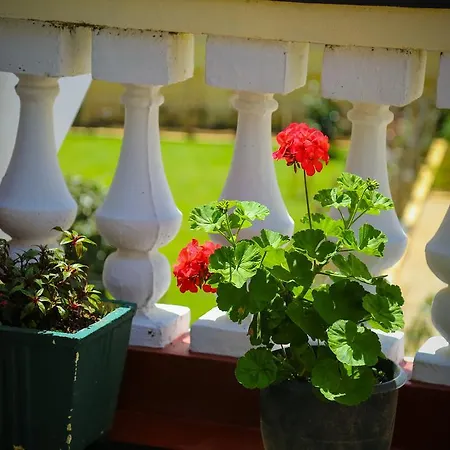 Holiday home Suninton Holiday Bungalow