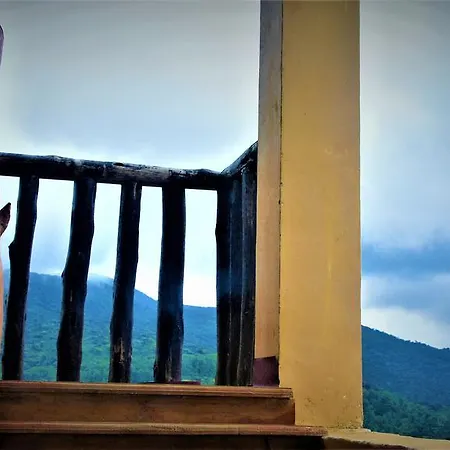 Tea Garden Nuwara Eliya