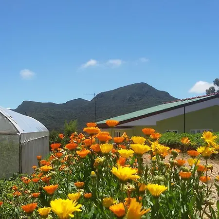 Sam's Place Homestay Nuwara Eliya