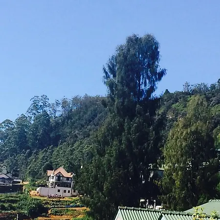 Grashiya Bungalow
