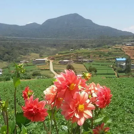 Sam's Place Homestay