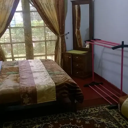 Srihelyes Homestay *