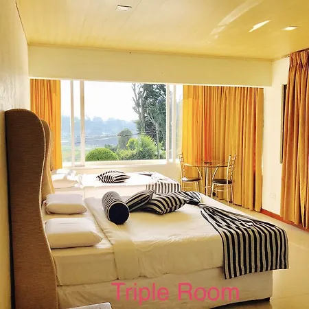 Hotel Single Tree *