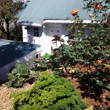 Guest house Sincere Wilderness