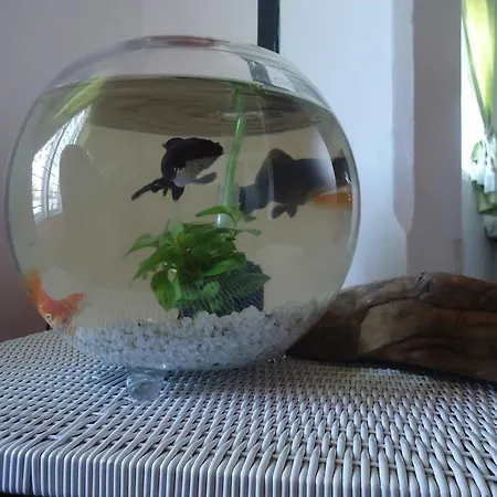 Sky House *