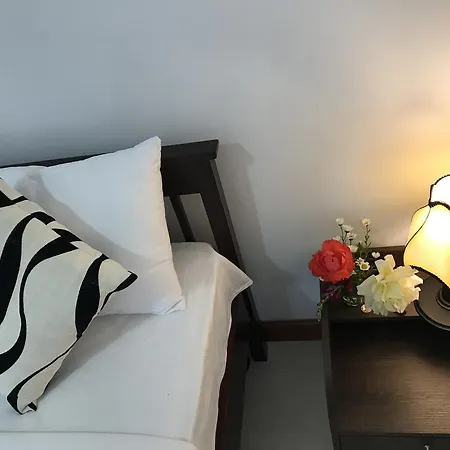 Aerizo Tours & Guest house