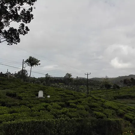 Pedro View * Nuwara Eliya