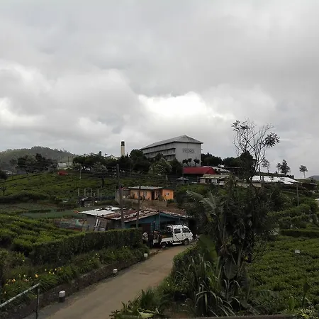 Pedro View *