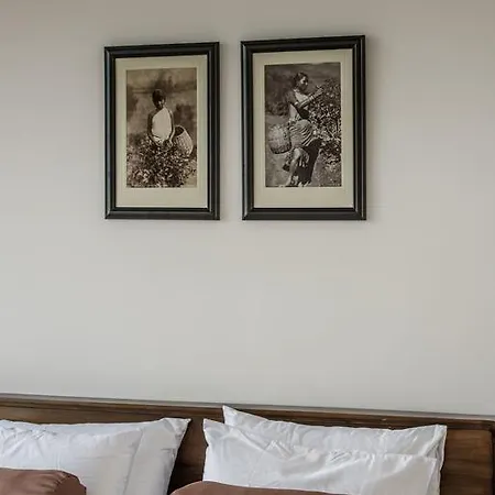 The Nuwara Eliya