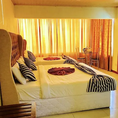 Single Tree Hotel *