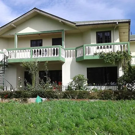 Homestay Avon Field *