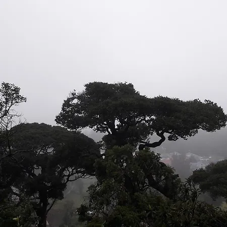 B&B Nuwara Eliya 3*