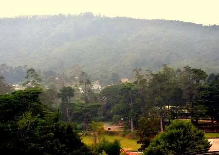 Guest house Max Mount View