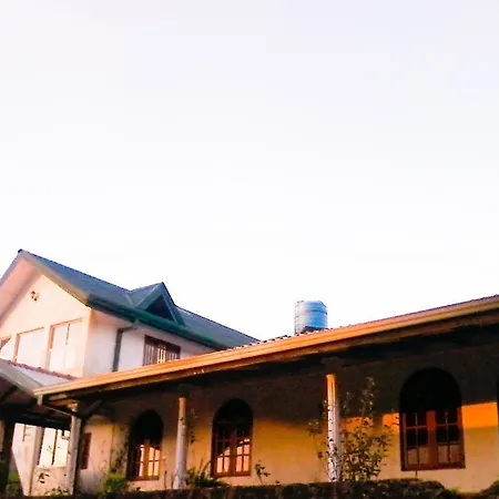 Hill Tea View *