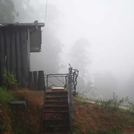 Rainfrorest Edge Guest house *