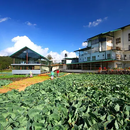 Ashford 4* Nuwara Eliya