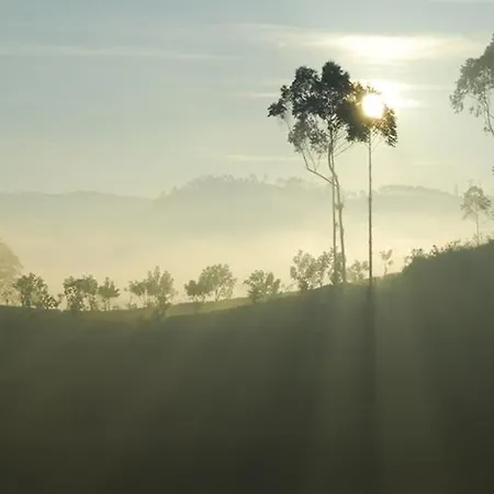 Jetwing St Andrew's 5* Nuwara Eliya