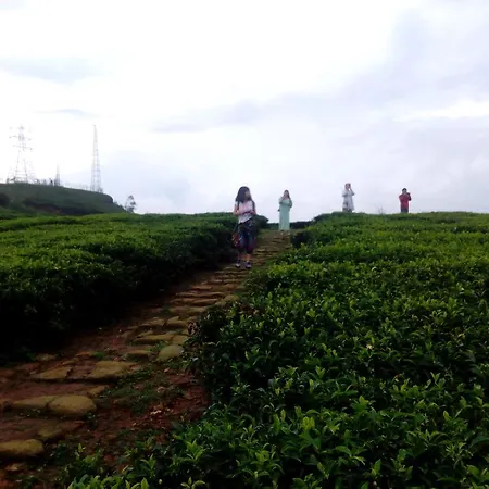 View Homestay