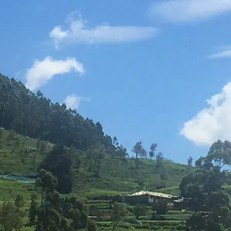 Perera *