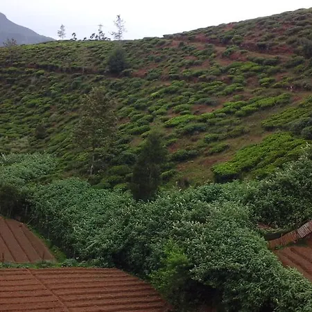 Jayamasa Homestay