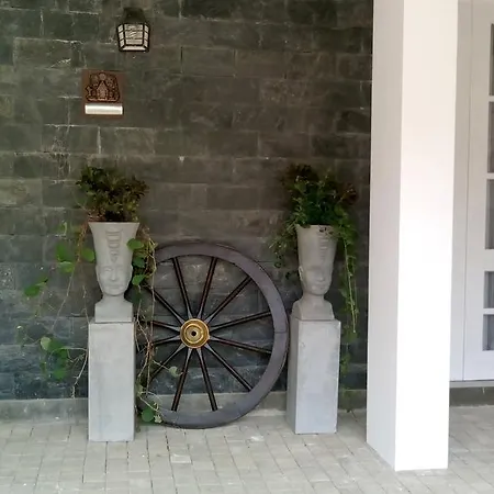 Misty Haven Guest house