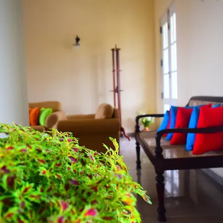 Misty Haven Guest house 3*