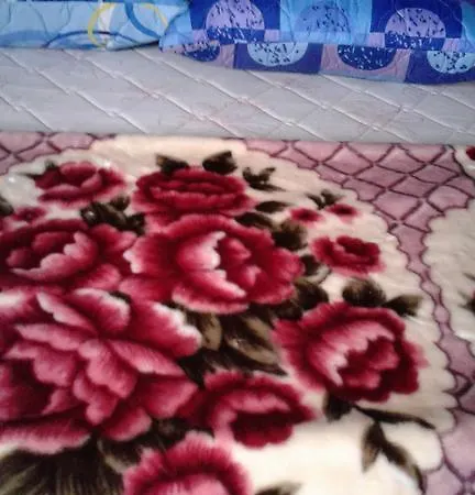 Guest house Max Mount View *