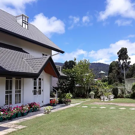 Guest house Andora 4*