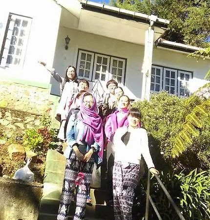 Homestay Crown *