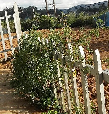 Shan Guest house