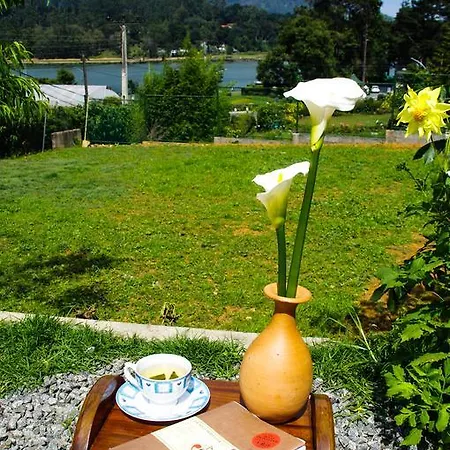 Mountain Stream Courtyard Nuwara Eliya