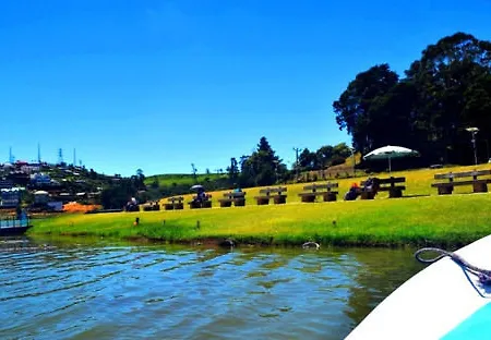 Daffodils Nuwara Eliya