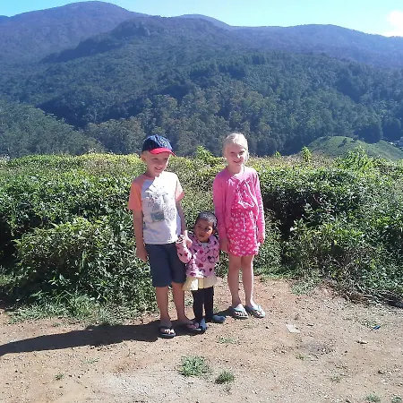 Tea Garden * Nuwara Eliya