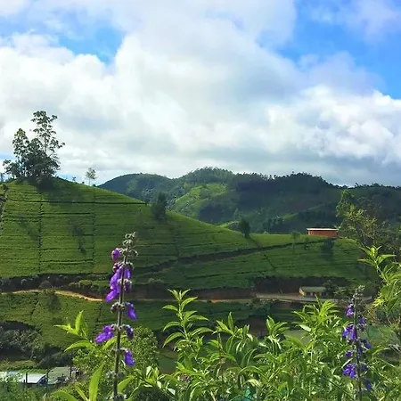 Winter Dream * Nuwara Eliya