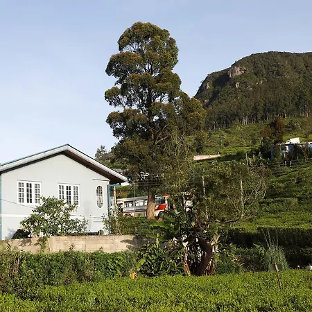 Pedro View Homestay Nuwara Eliya