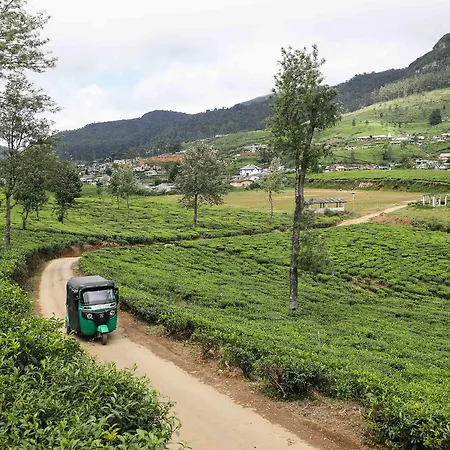 Pedro View * Nuwara Eliya