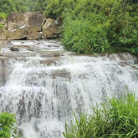 Yoho Spring Garden Nuwara Eliya