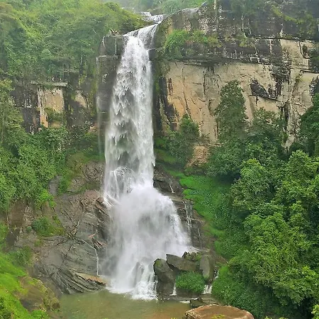 Yoho Spring Garden * Nuwara Eliya