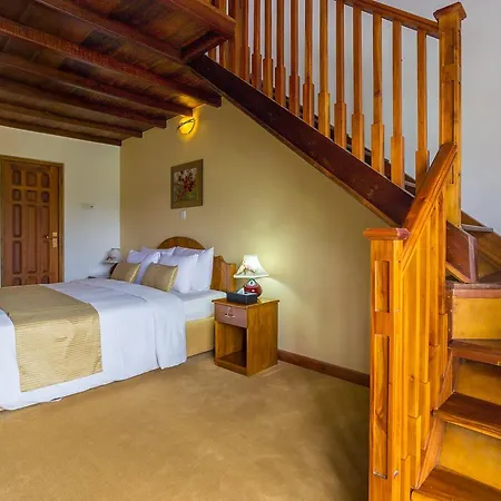 Albany Hotel 3*