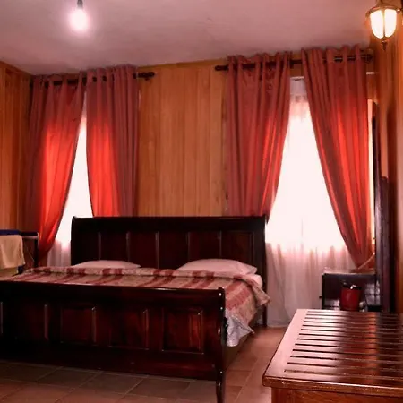 Hotel Single Tree *
