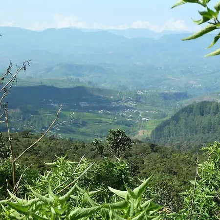 Hotel Single Tree Nuwara Eliya